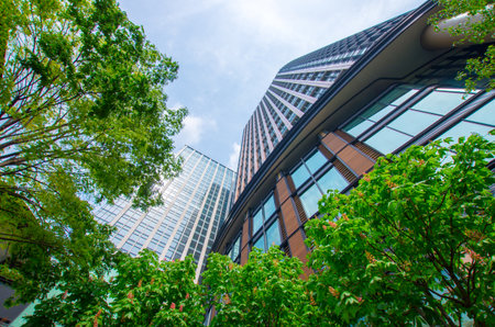 nakadori street,tokyo,tourism of japanのeditorial素材
