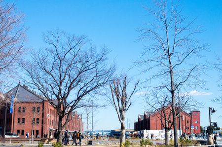 Yokohama Red Brick Warehouse,kanagawa,tourism of japanのeditorial素材