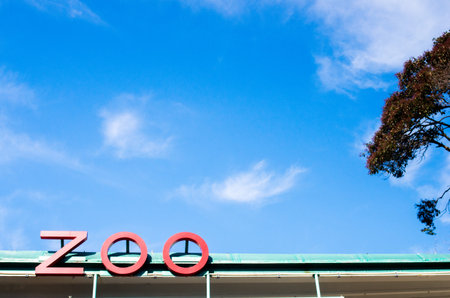 ueno zooのeditorial素材