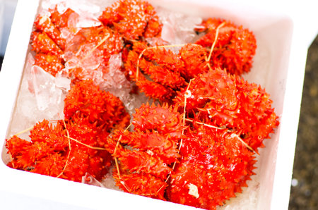 Fish market,japanの写真素材