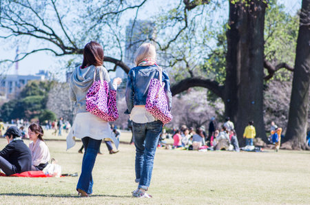 Shinjuku gyoen park,tokyo,japanのeditorial素材