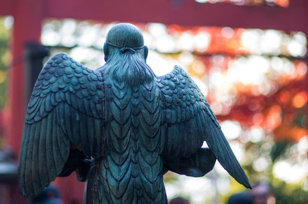 Braggart at Takao mountain,tokyo,japanの写真素材