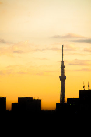 tokyo skytree silhouette,japanのeditorial素材