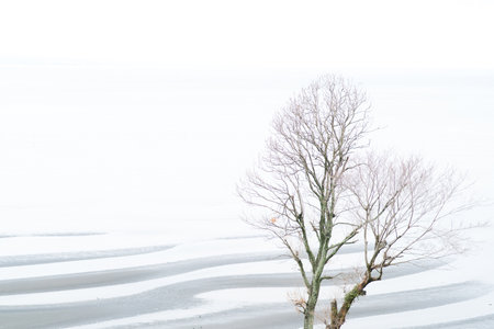 okoshiki tideland,tourism of japanの写真素材