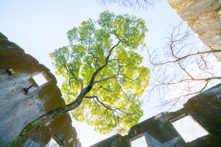 katashima navy ruins,nagasaki,japanの写真素材
