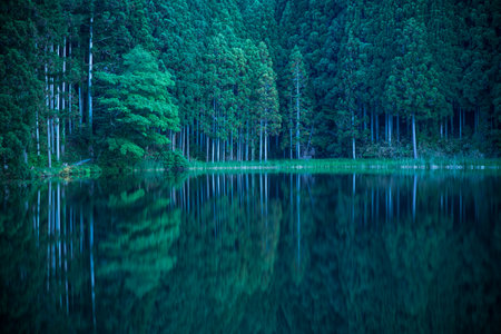 Ryuougafuchi pond,uda-city,nara,tourism of japan