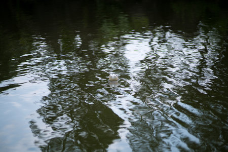 waste petの写真素材