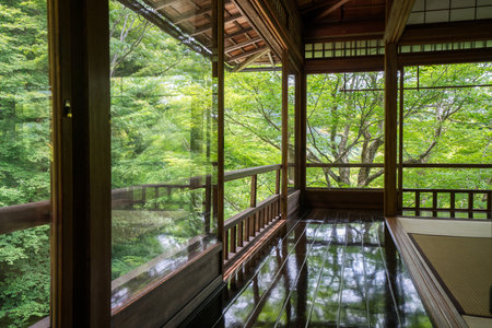 Rurikou-in Temple,kyoto,tourism of japanのeditorial素材
