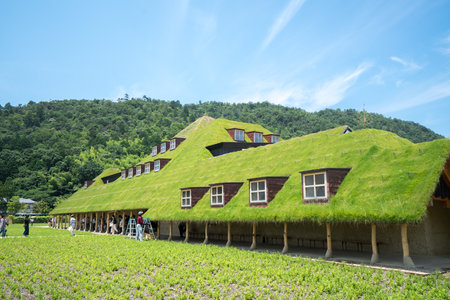 La Collina,Taneya,omihachiman,shiga,tour of japanのeditorial素材