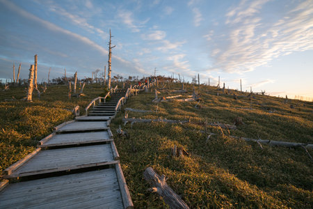 breaking dawn of Masaki mountain pass at Odaigahara,Nara,Japanの写真素材