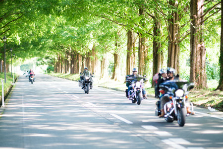 Metasequoia Tree-lined street,Makino-cho,Shiga,japanのeditorial素材