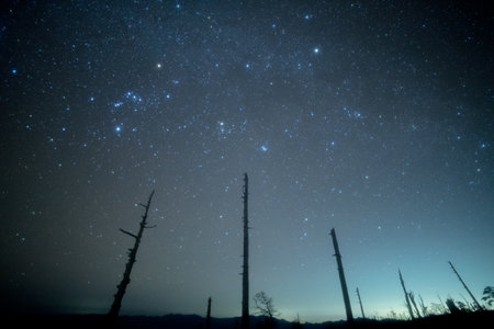 Starry sky of Masaki mountain pass at Odaigahara,nara,japanの写真素材