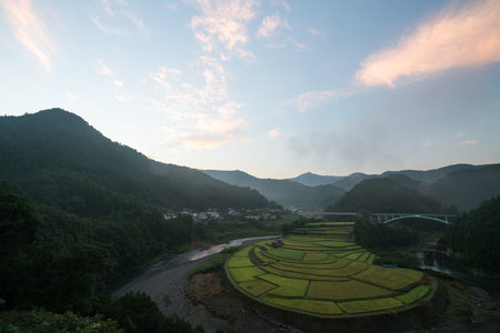 Aragishima rice terraced field,Wakayama,Japanの写真素材