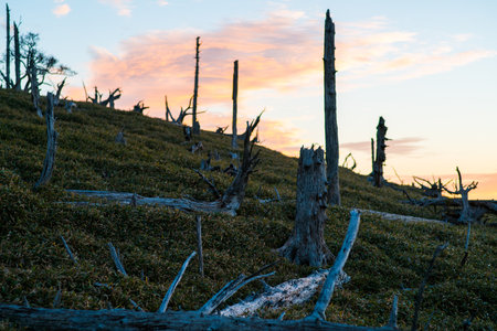 breaking dawn of Masaki mountain pass at Odaigahara,Nara,Japanの写真素材