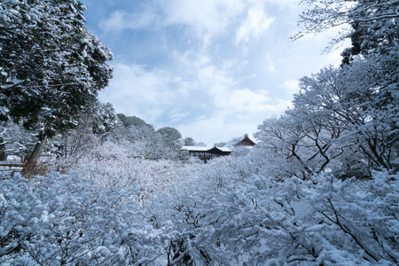Tutenkyo bridge at Tofukuji temple snow scene,Kyoto,tourism of Japanのeditorial素材