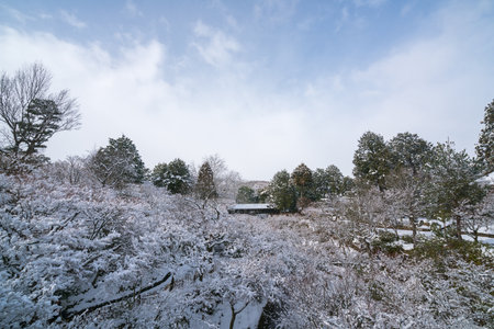 Tutenkyo bridge at Tofukuji temple snow scene,Kyoto,tourism of Japanのeditorial素材
