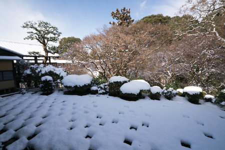 Hojo garden snow scene at Tofukuji temple,Kyoto,tourism of Japanのeditorial素材