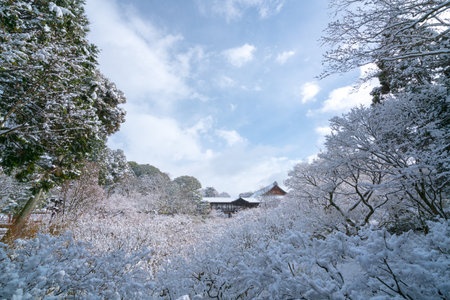 Tutenkyo bridge at Tofukuji temple snow scene,Kyoto,tourism of Japanのeditorial素材