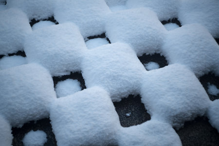 Hojo garden snow scene at Tofukuji temple,Kyoto,tourism of Japanの写真素材