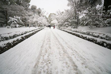 Approach Kinkakuji temple,snow scene,Kyoto,tourism of Japanのeditorial素材