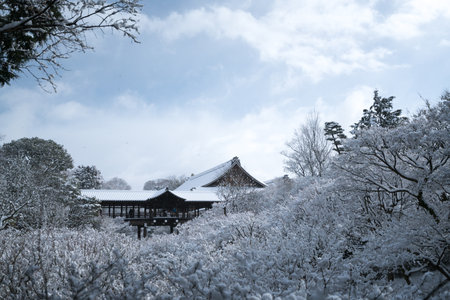 Tutenkyo bridge at Tofukuji temple snow scene,Kyoto,tourism of Japanのeditorial素材