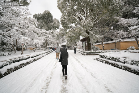 Approach Kinkakuji temple,snow scene,Kyoto,tourism of Japanのeditorial素材