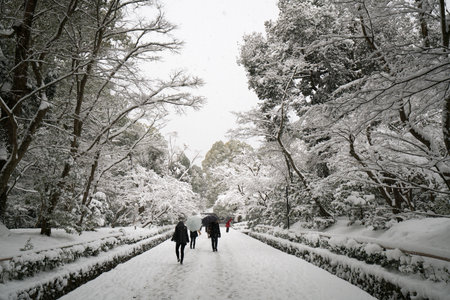 Approach Kinkakuji temple,snow scene,Kyoto,tourism of Japanのeditorial素材