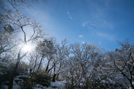 Tofukuji temple snow scene,Kyoto,tourism of Japanの写真素材