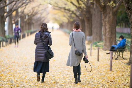 Jingu Gaien ginkgo street,Tokyo,Japanのeditorial素材