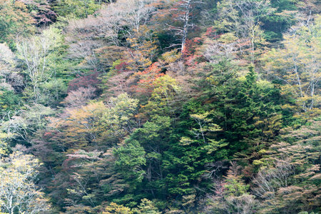 Odaigahara autumn mountain,Nara,Japanの写真素材