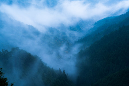Nosegawa foggy mountain,Nara,Japanの写真素材