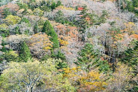 Odaigahara autumn mountain,Nara,Japanの写真素材