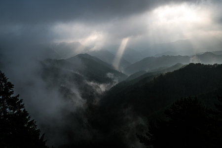 Nosegawa foggy mountain,Nara,Japanの写真素材