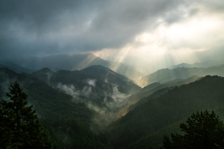 Nosegawa foggy mountain,Nara,Japanの写真素材