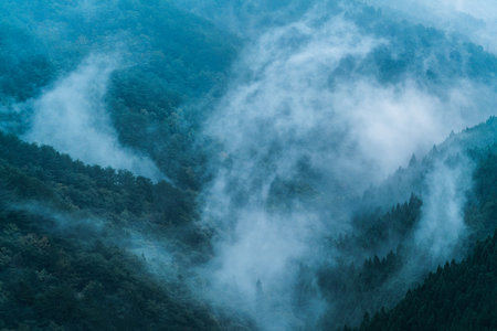 Nosegawa foggy mountain,Nara,Japanの写真素材