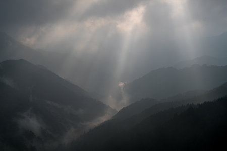 Nosegawa foggy mountain,Nara,Japanの写真素材