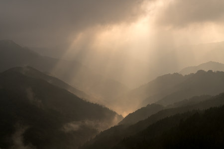 Nosegawa foggy mountain,Nara,Japanの写真素材