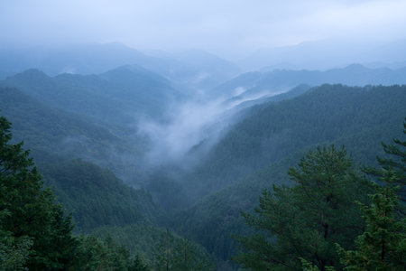 Nosegawa foggy mountain,Nara,Japanの写真素材