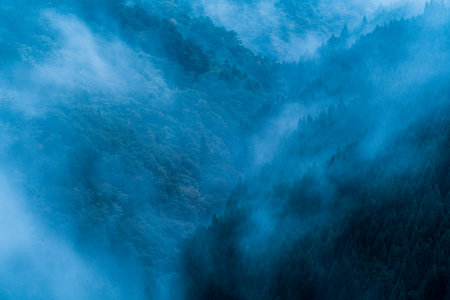 Nosegawa foggy mountain,Nara,Japanの写真素材