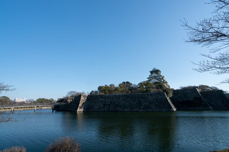 Osaka castle,winter osaka,tourism of japanのeditorial素材