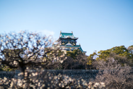 Osaka castle & plum,osaka,tourism of japanのeditorial素材