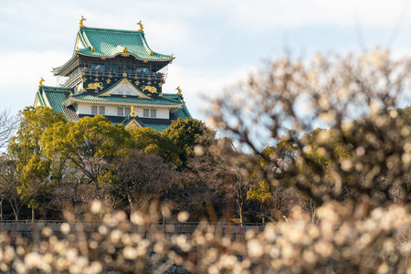 Osaka castle & plum,osaka,tourism of japanのeditorial素材