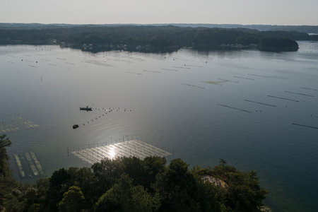 Ago bay in the morning,Iseshima area,mie prefecture,tourism of japanの写真素材