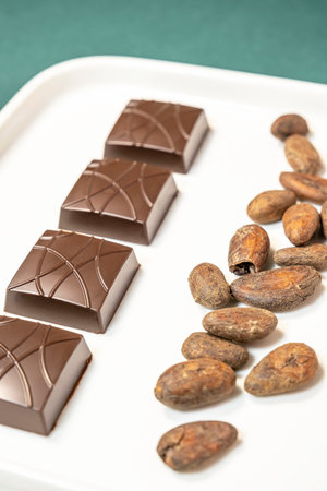 Handmade dark chocolates on white plate with cocoa beans on green background.の写真素材
