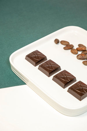 Handmade dark chocolates on white plate with cocoa beans on green background.の写真素材