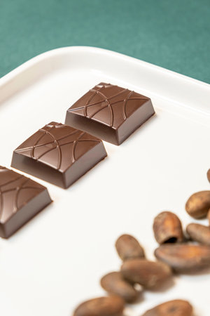 Handmade dark chocolates on white plate with cocoa beans on green background.の写真素材