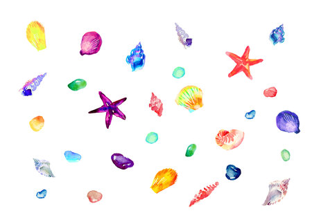 Illustration of seashells painted with watercolorsの写真素材