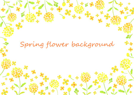 The frame of the rape blossomsのイラスト素材