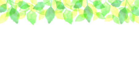 Fresh green background illustration drawn with watercolorの写真素材