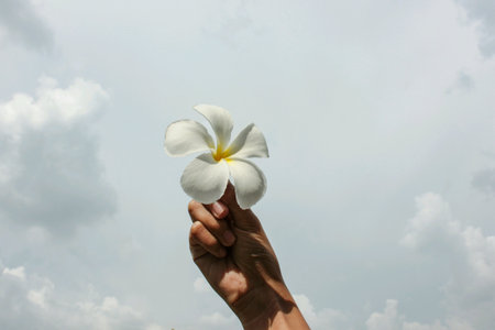 Hand with flower up in the skyの素材